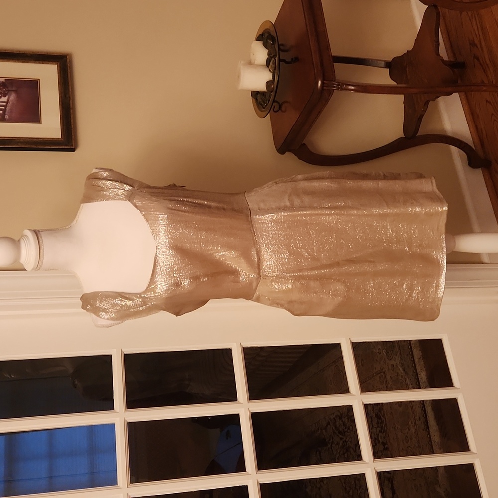 NWT W118 Gold slinky Becky Dress M